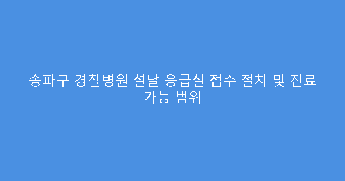 송파구 경찰병원 설날 응급실 접수 절차 및 진료 가능 범위