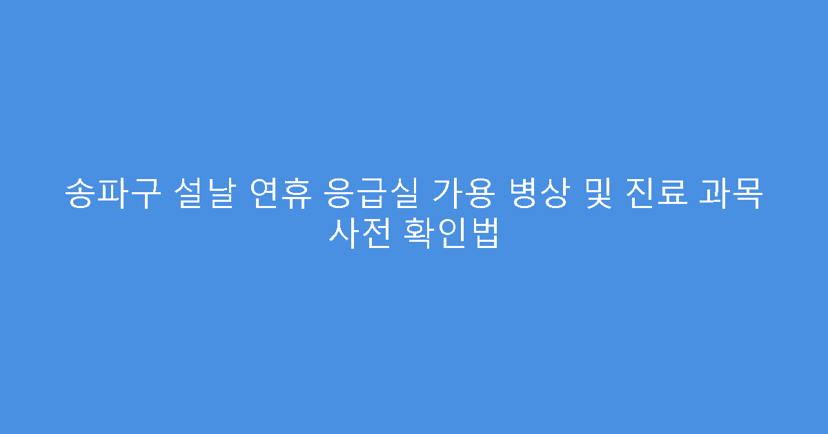 송파구 설날 연휴 응급실 가용 병상 및 진료 과목 사전 확인법