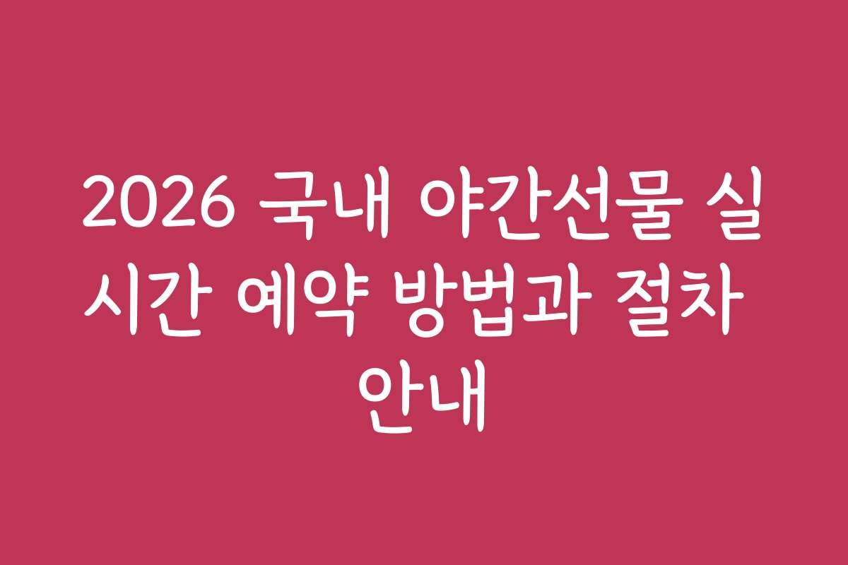 2026 국내 야간선물 실시간 예약 방법과 절차 안내