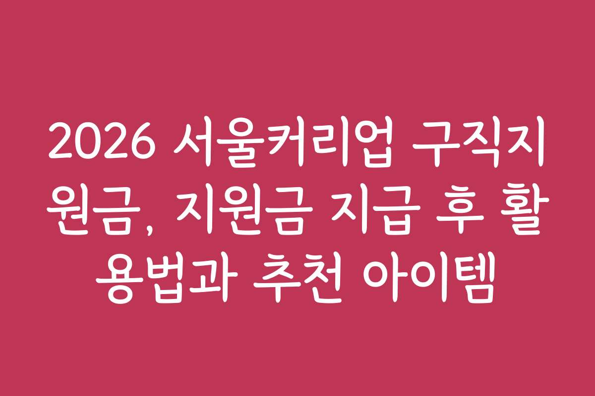 2026 서울커리업 구직지원금, 지원금 지급 후 활용법과 추천 아이템