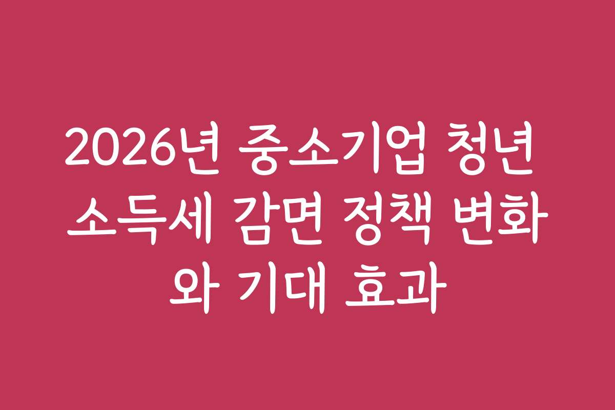 2026년 중소기업 청년 소득세 감면 정책 변화와 기대 효과