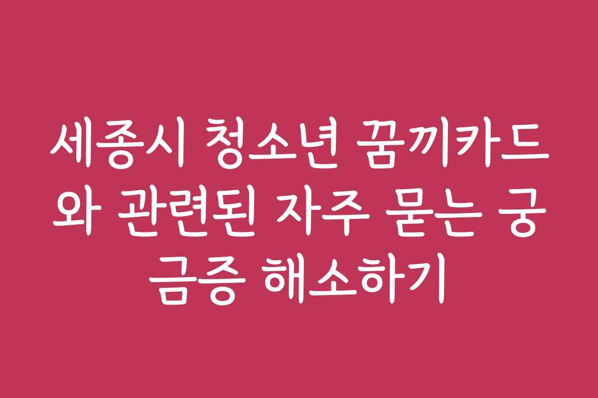 세종시 청소년 꿈끼카드와 관련된 자주 묻는 궁금증 해소하기