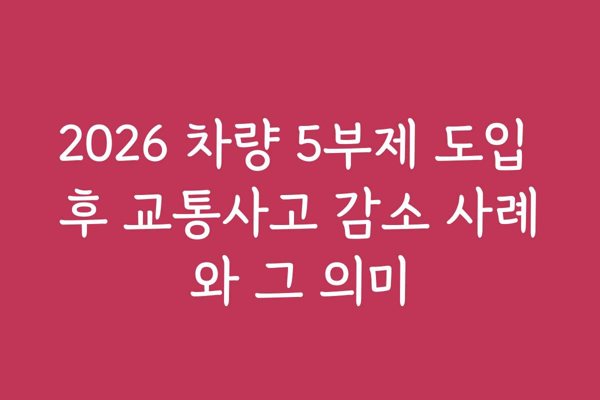 2026 차량 5부제 도입 후 교통사고 감소 사례와 그 의미