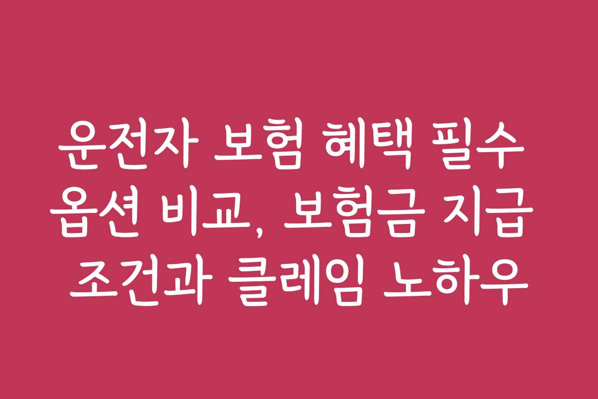 운전자 보험 혜택 필수 옵션 비교, 보험금 지급 조건과 클레임 노하우