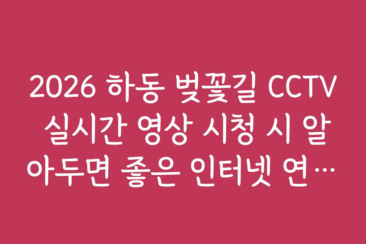 2026 하동 벚꽃길 CCTV 실시간 영상 시청 시 알아두면 좋은 인터넷 연결 팁