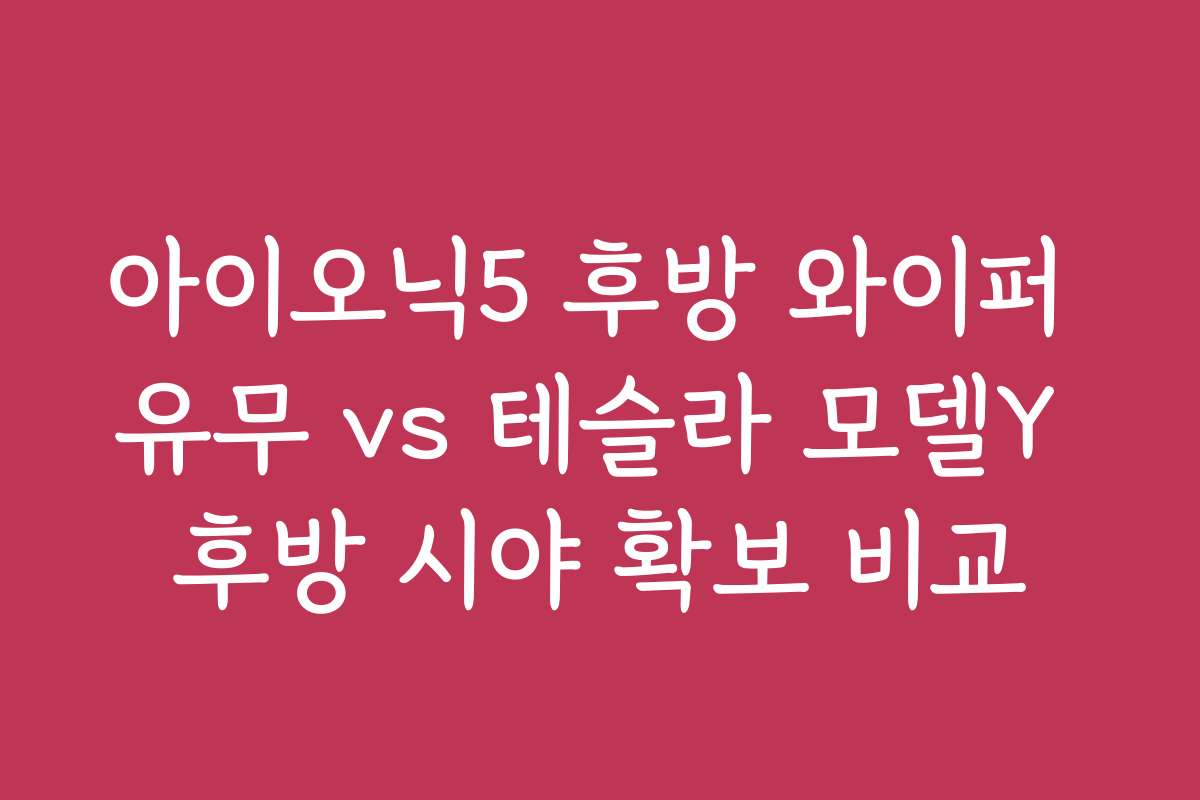 아이오닉5 후방 와이퍼 유무 vs 테슬라 모델Y 후방 시야 확보 비교