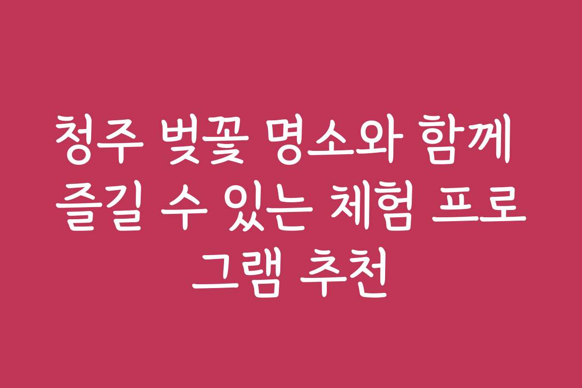 청주 벚꽃 명소와 함께 즐길 수 있는 체험 프로그램 추천