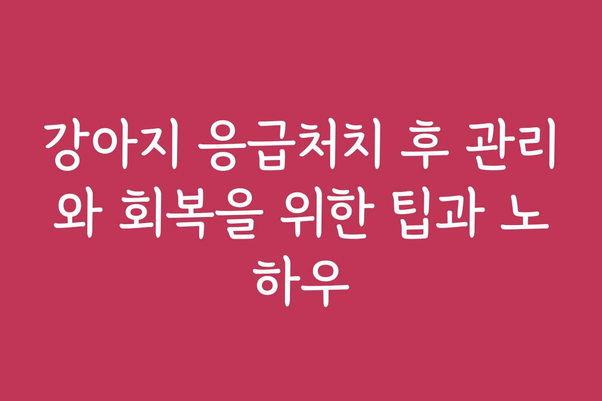 강아지 응급처치 후 관리와 회복을 위한 팁과 노하우