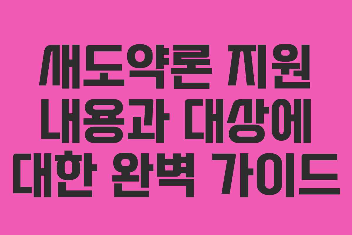 새도약론 지원 내용과 대상에 대한 완벽 가이드