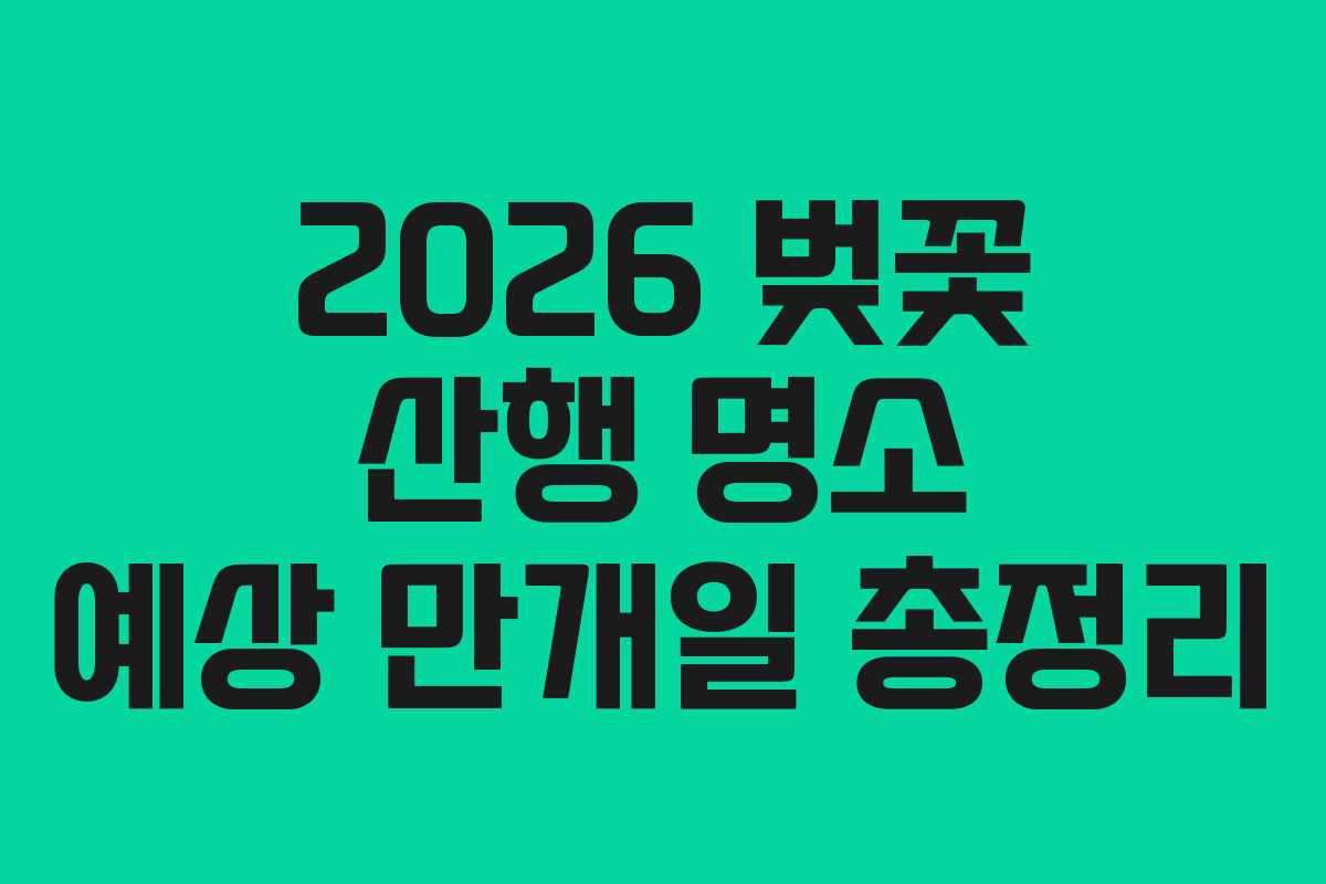 2026 벚꽃 산행 명소 예상 만개일 총정리