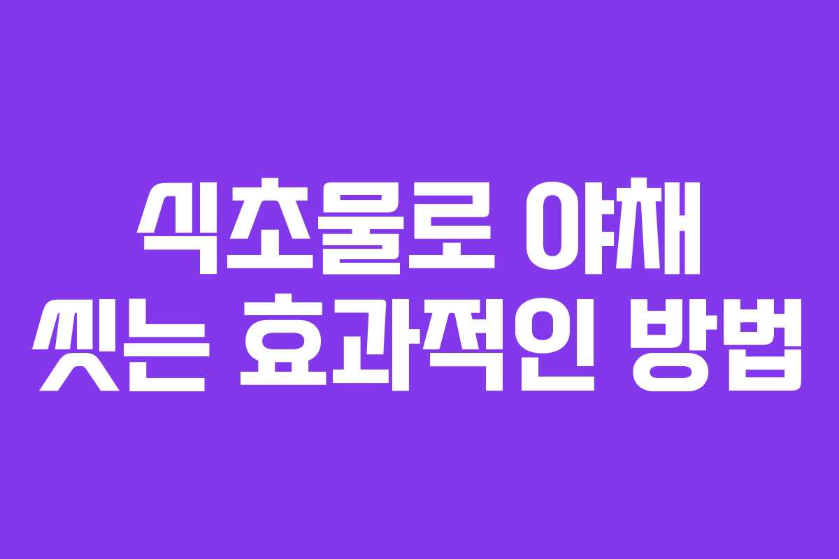 식초물로 야채 씻는 효과적인 방법