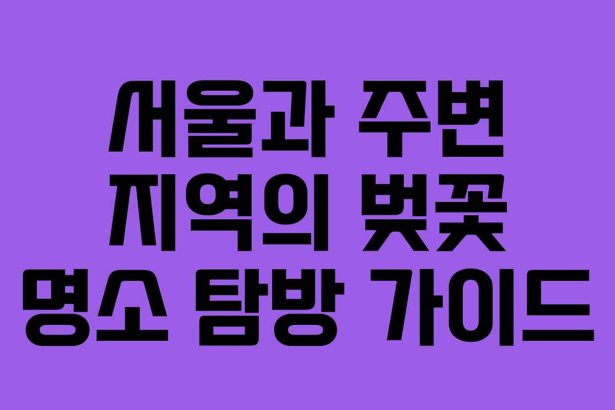 서울과 주변 지역의 벚꽃 명소 탐방 가이드