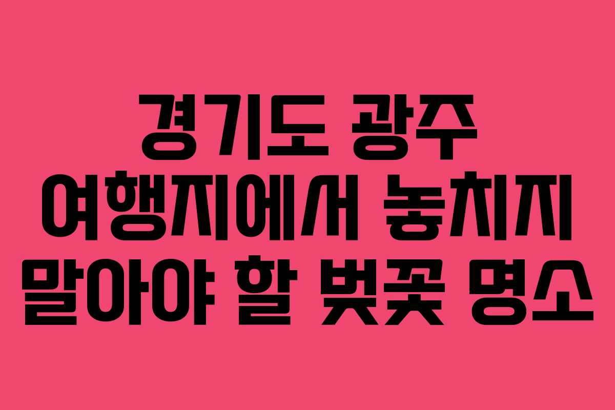 경기도 광주 여행지에서 놓치지 말아야 할 벚꽃 명소
