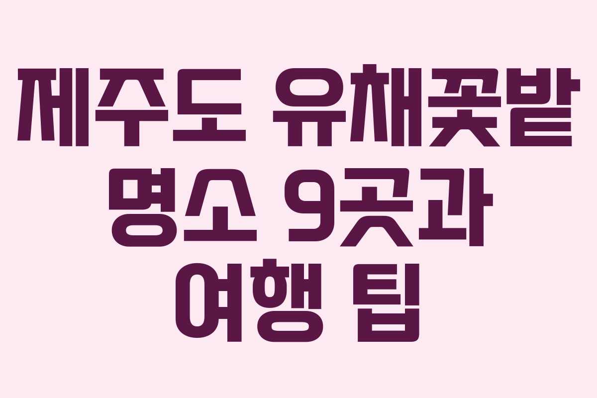 제주도 유채꽃밭 명소 9곳과 여행 팁