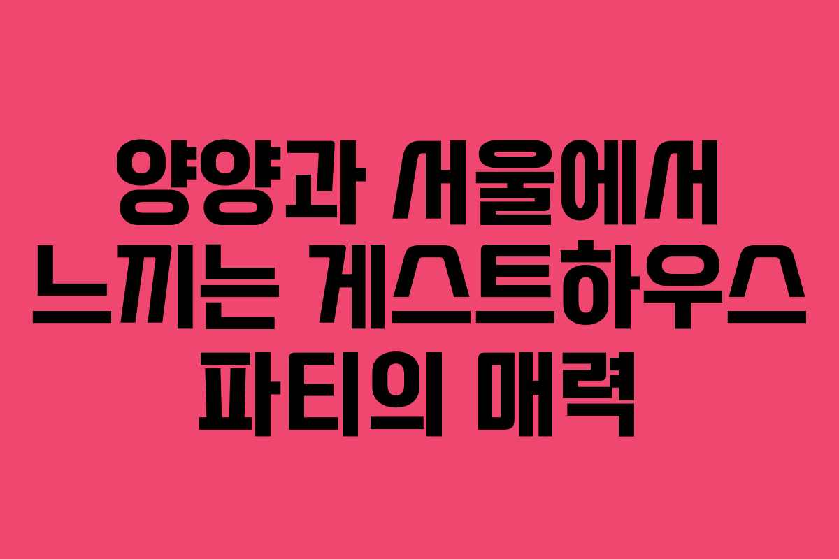 양양과 서울에서 느끼는 게스트하우스 파티의 매력