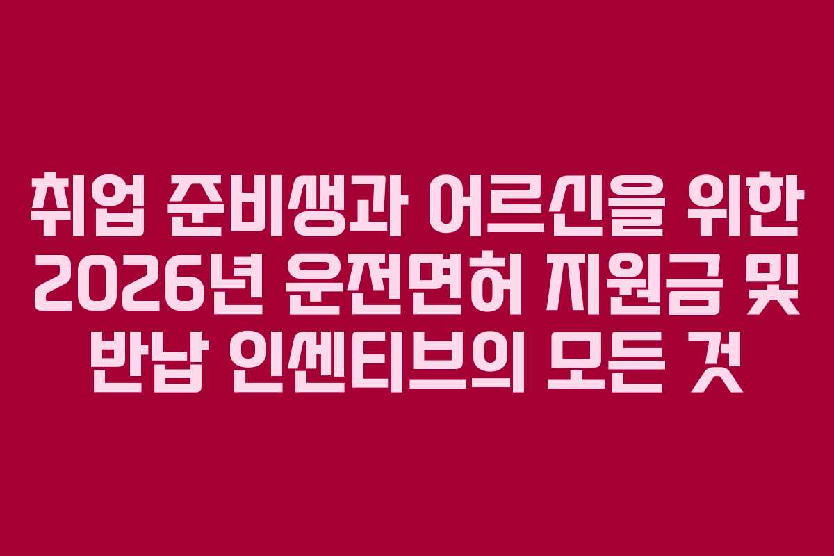취업 준비생과 어르신을 위한 2026년 운전면허 지원금 및 반납 인센티브의 모든 것