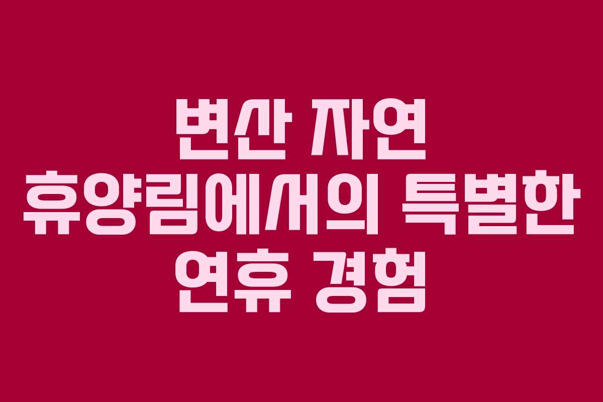 변산 자연 휴양림에서의 특별한 연휴 경험
