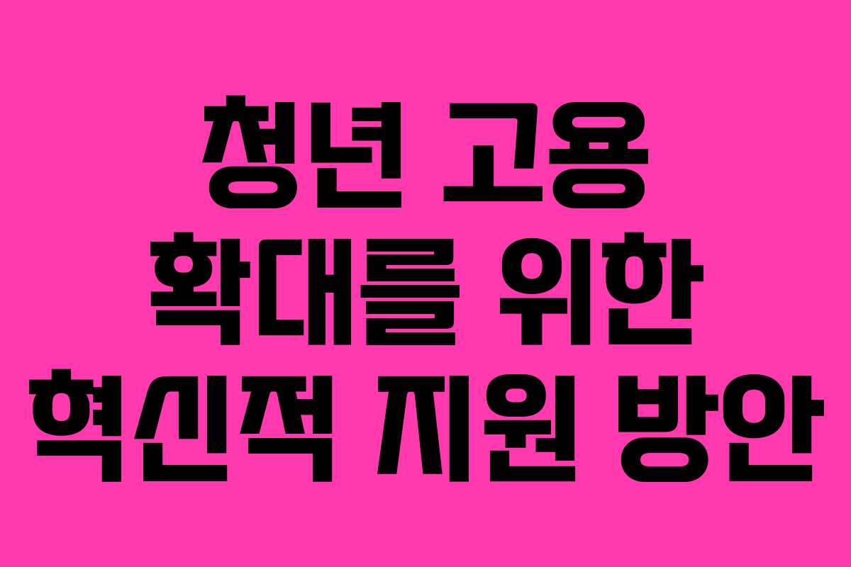 청년 고용 확대를 위한 혁신적 지원 방안