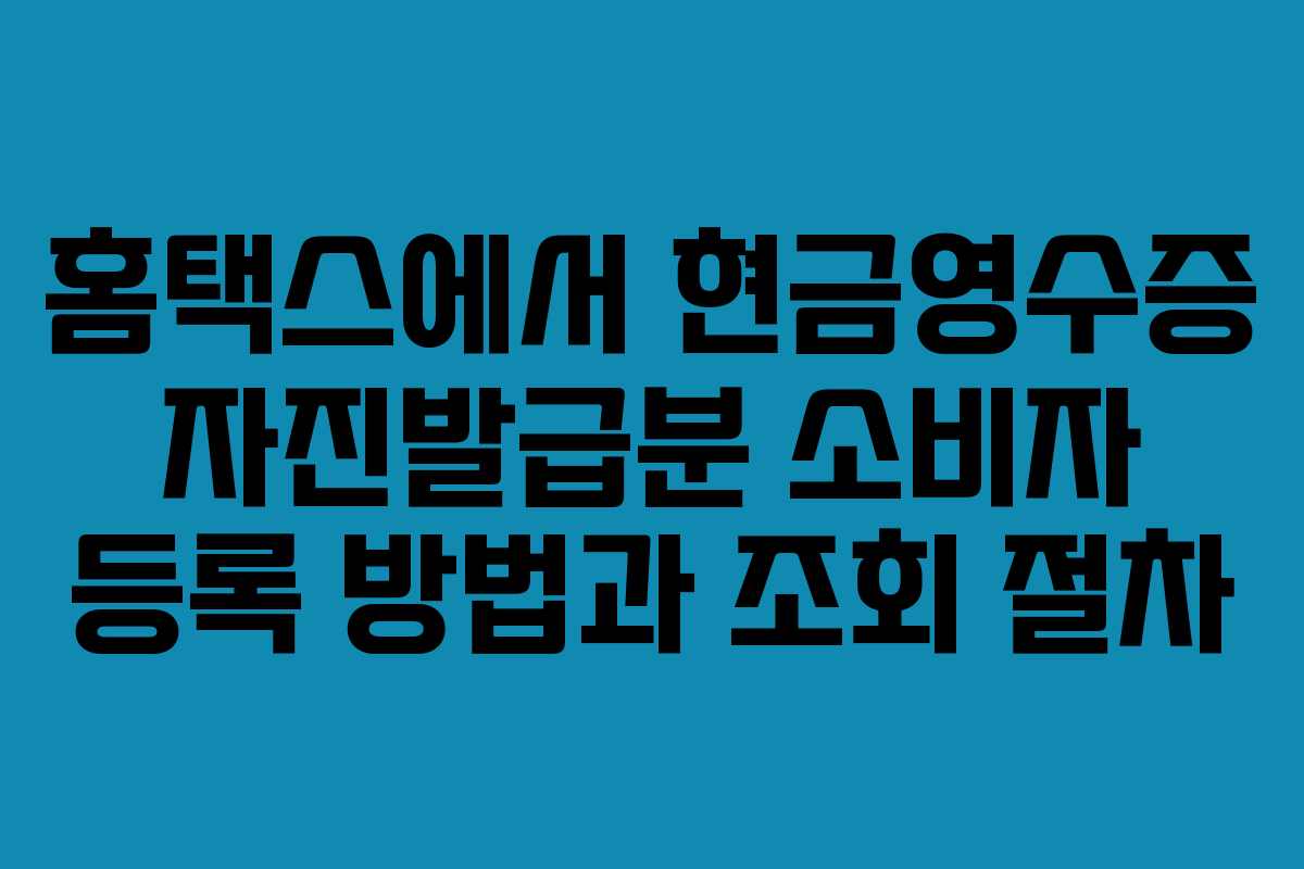 홈택스에서 현금영수증 자진발급분 소비자 등록 방법과 조회 절차
