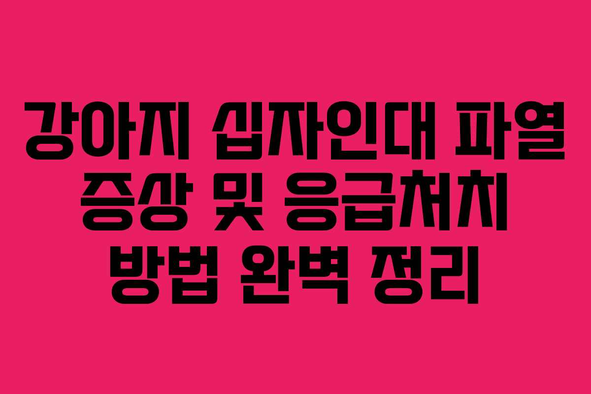 강아지 십자인대 파열 증상 및 응급처치 방법 완벽 정리