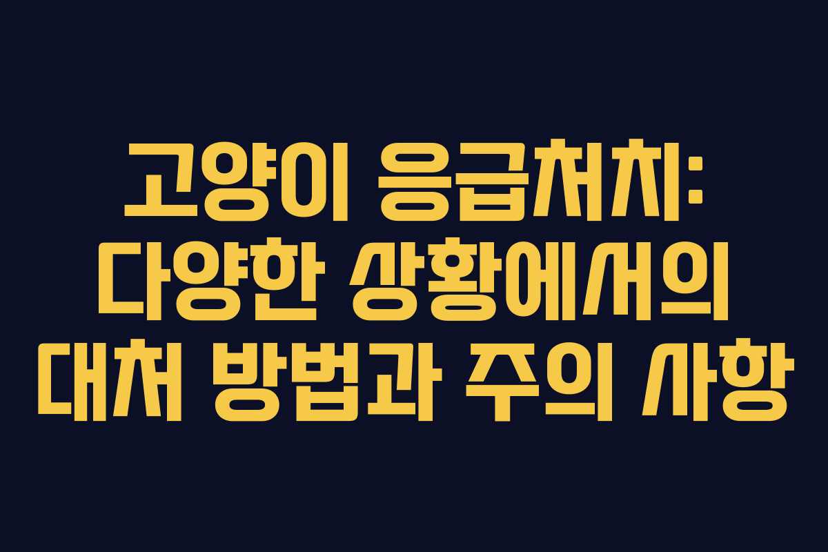 고양이 응급처치: 다양한 상황에서의 대처 방법과 주의 사항