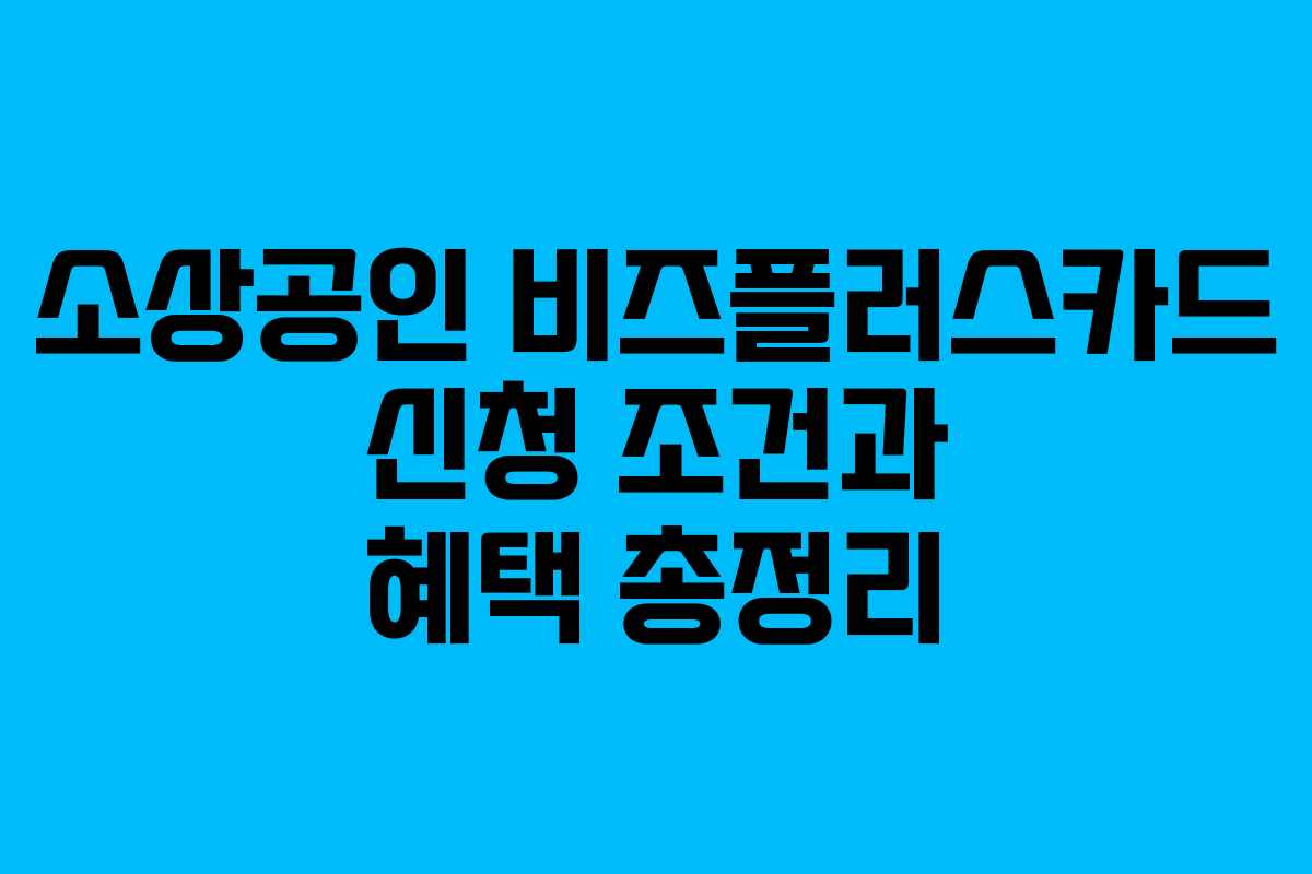 소상공인 비즈플러스카드 신청 조건과 혜택 총정리