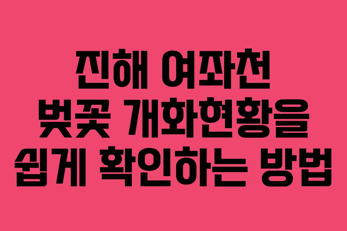 진해 여좌천 벚꽃 개화현황을 쉽게 확인하는 방법