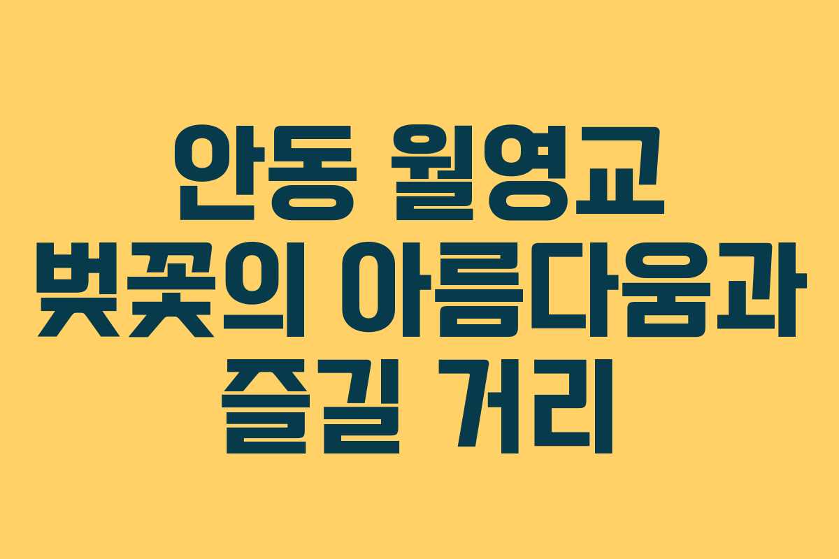 안동 월영교 벚꽃의 아름다움과 즐길 거리