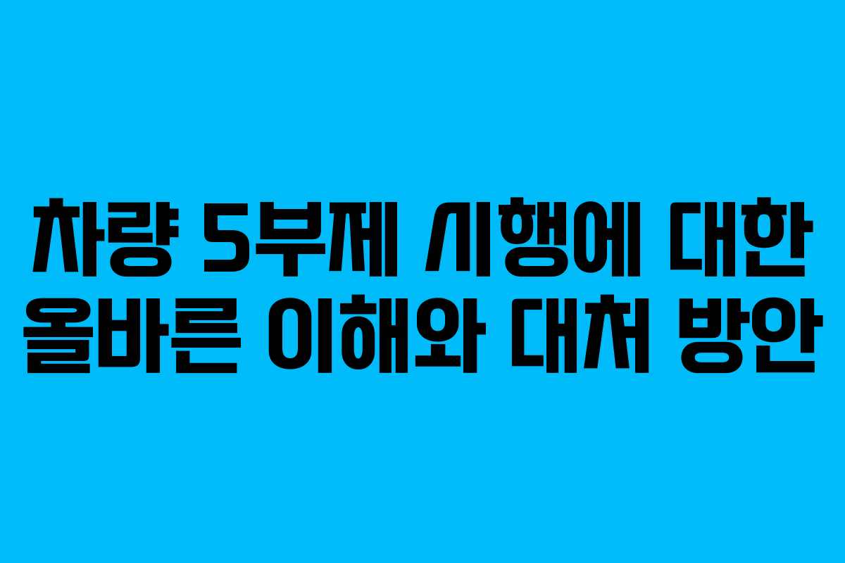 차량 5부제 시행에 대한 올바른 이해와 대처 방안