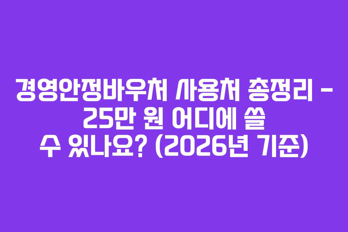 경영안정바우처 사용처 총정리 – 25만 원 어디에 쓸 수 있나요? (2026년 기준)