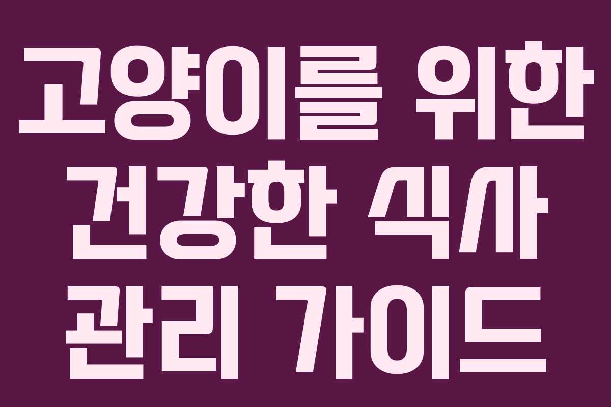 고양이를 위한 건강한 식사 관리 가이드