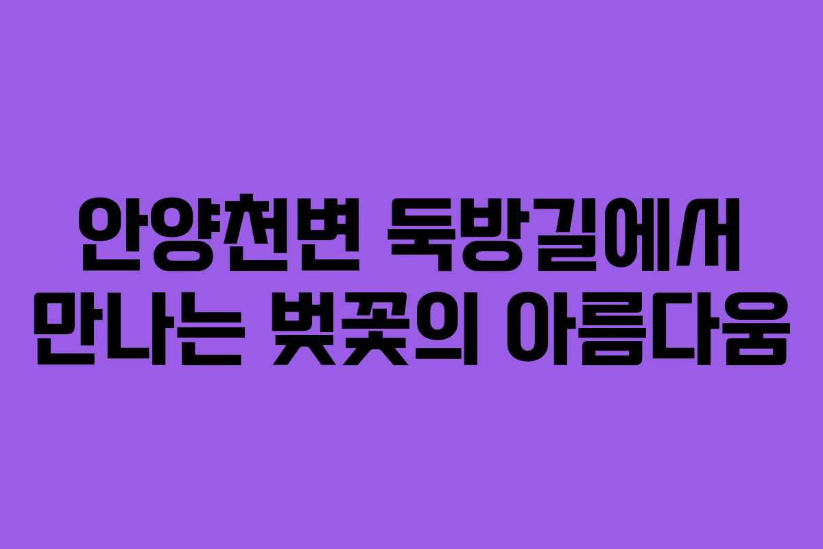 안양천변 둑방길에서 만나는 벚꽃의 아름다움