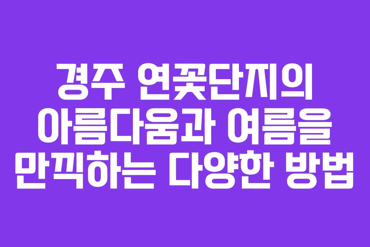 경주 연꽃단지의 아름다움과 여름을 만끽하는 다양한 방법
