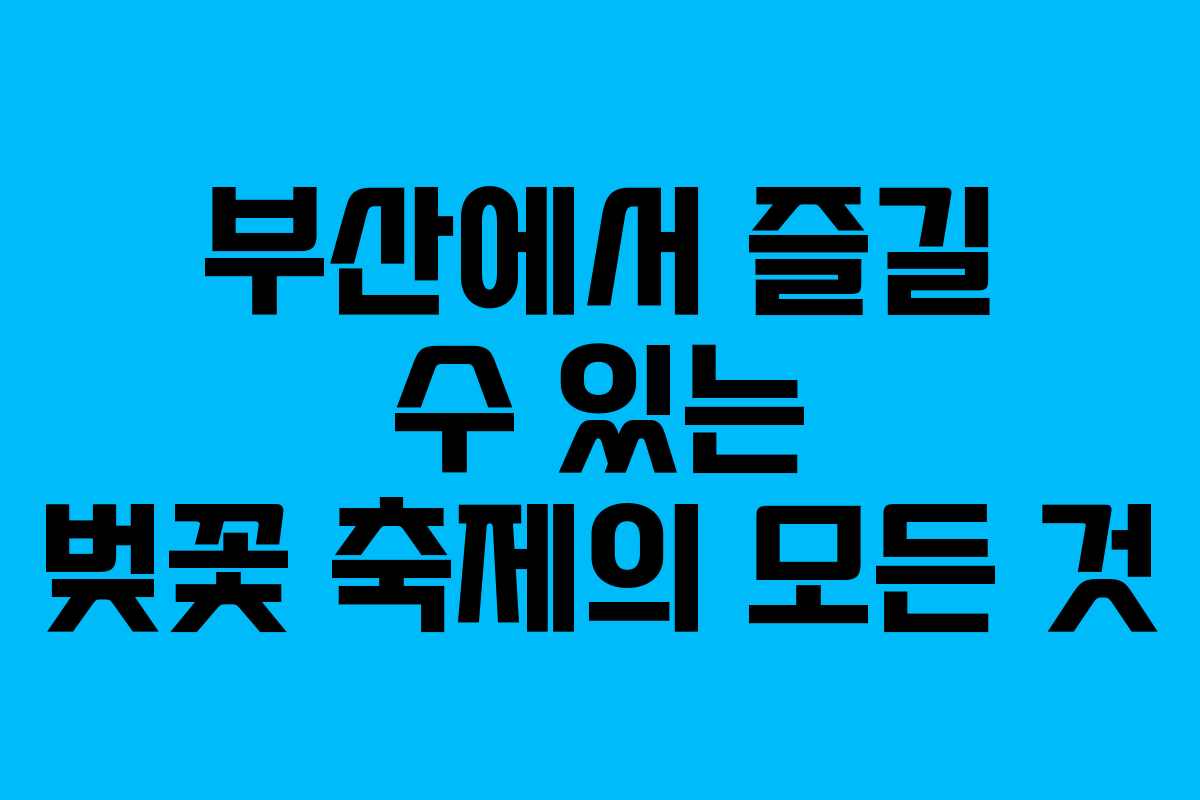 부산에서 즐길 수 있는 벚꽃 축제의 모든 것
