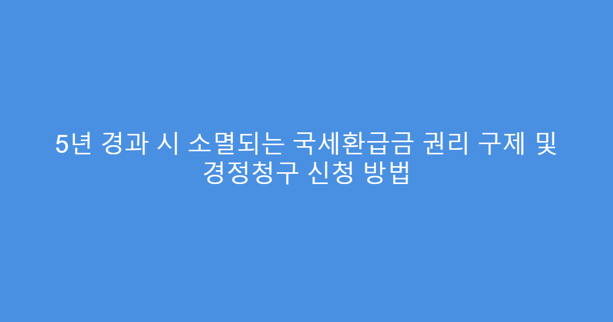 5년 경과 시 소멸되는 국세환급금 권리 구제 및 경정청구 신청 방법