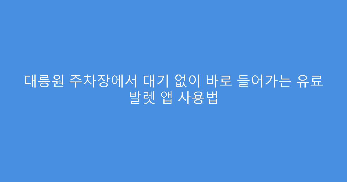 대릉원 주차장에서 대기 없이 바로 들어가는 유료 발렛 앱 사용법