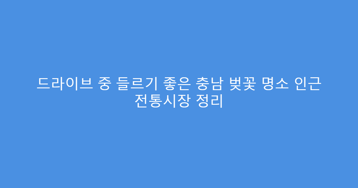 드라이브 중 들르기 좋은 충남 벚꽃 명소 인근 전통시장 정리
