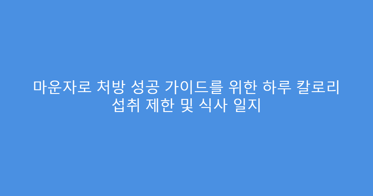 마운자로 처방 성공 가이드를 위한 하루 칼로리 섭취 제한 및 식사 일지