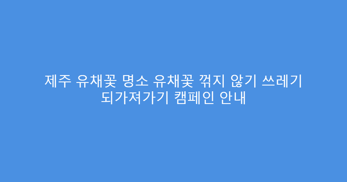 제주 유채꽃 명소 유채꽃 꺾지 않기 쓰레기 되가져가기 캠페인 안내