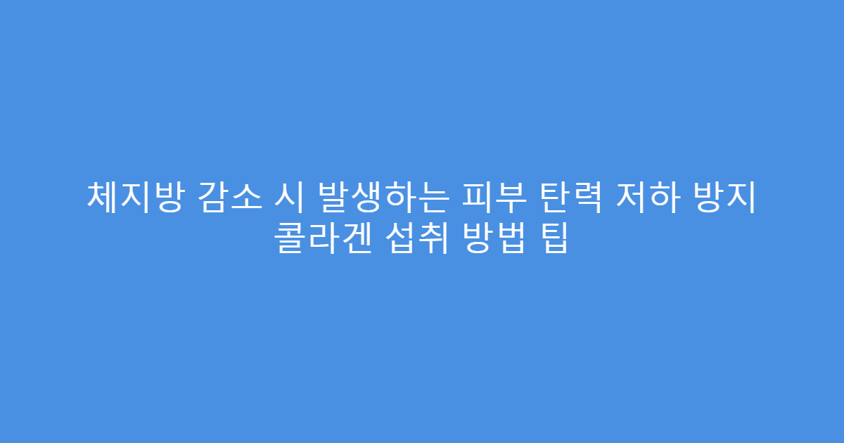 체지방 감소 시 발생하는 피부 탄력 저하 방지 콜라겐 섭취 방법 팁