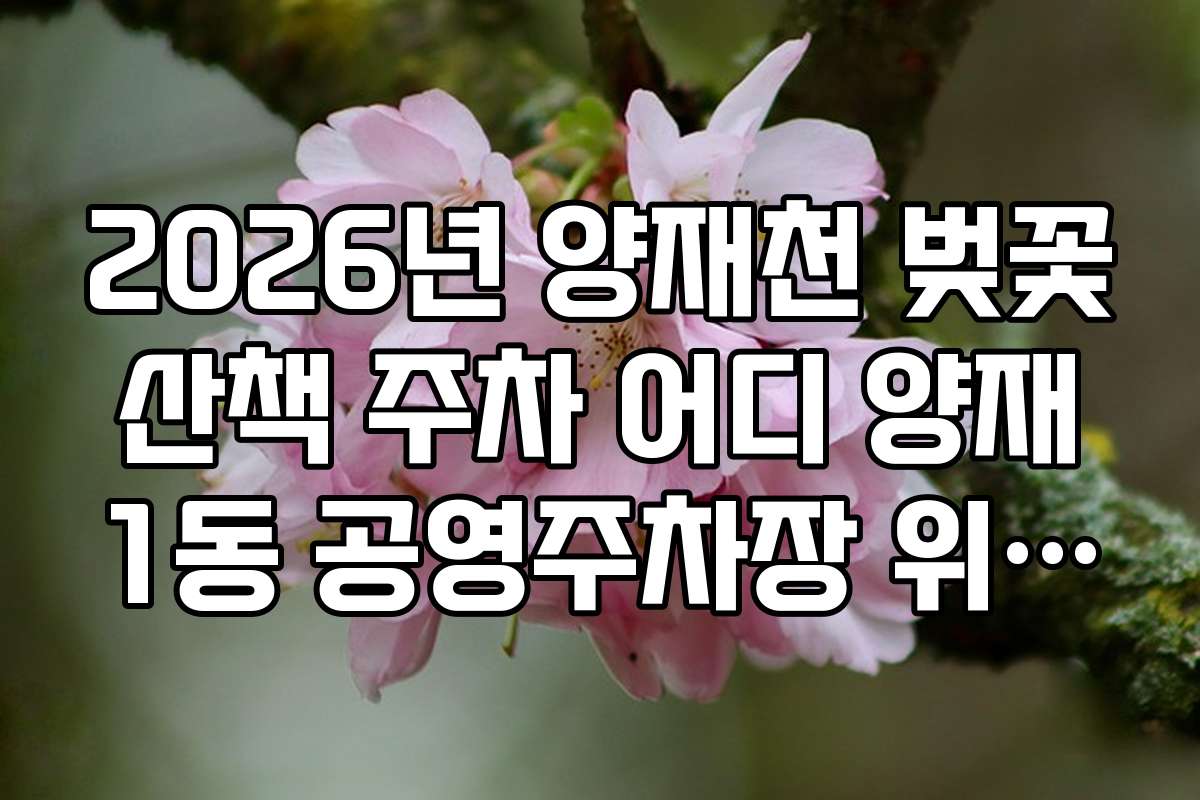 2026년 양재천 벚꽃 산책 주차 어디 양재 1동 공영주차장 위치 가이드