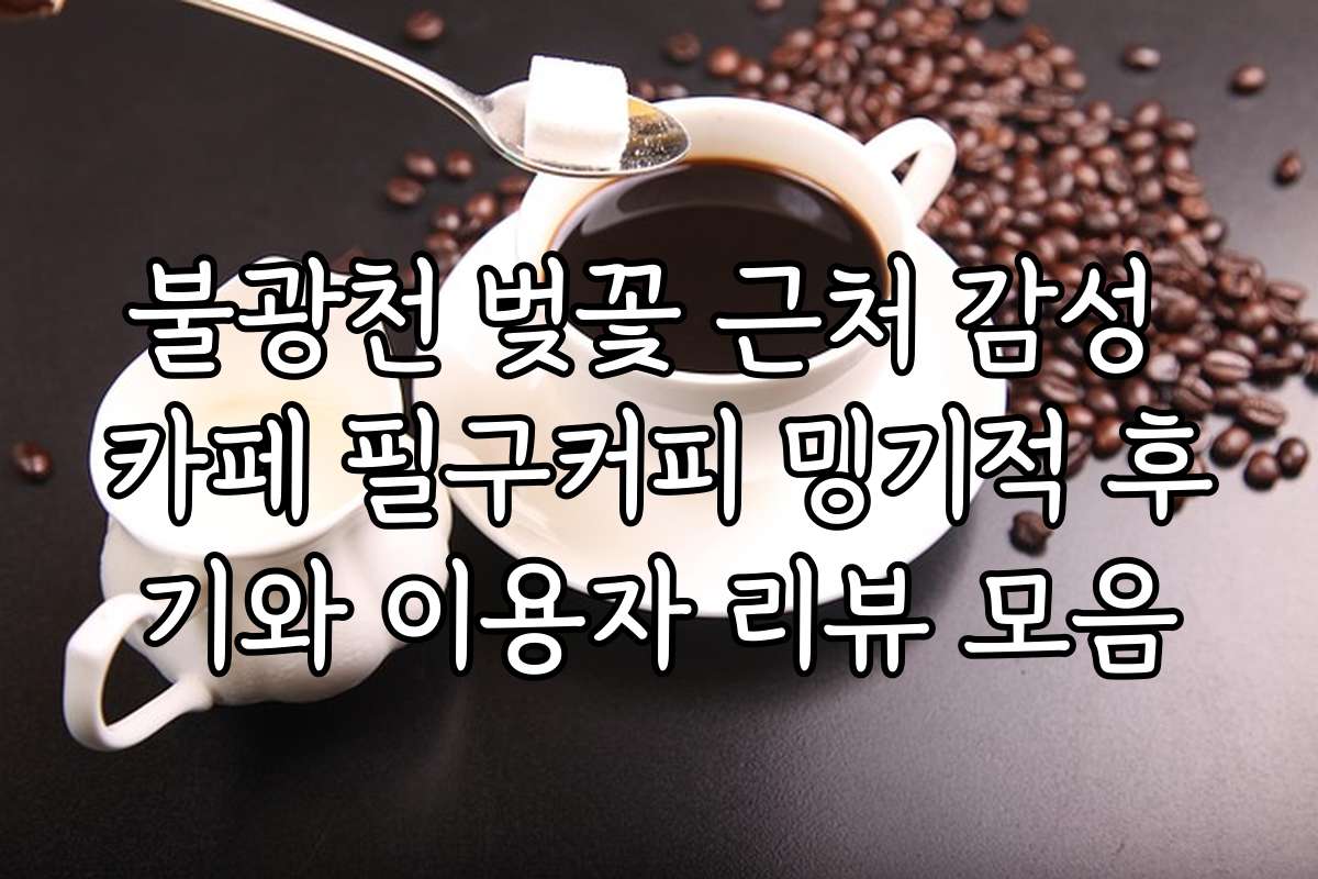 불광천 벚꽃 근처 감성 카페 필구커피 밍기적 후기와 이용자 리뷰 모음