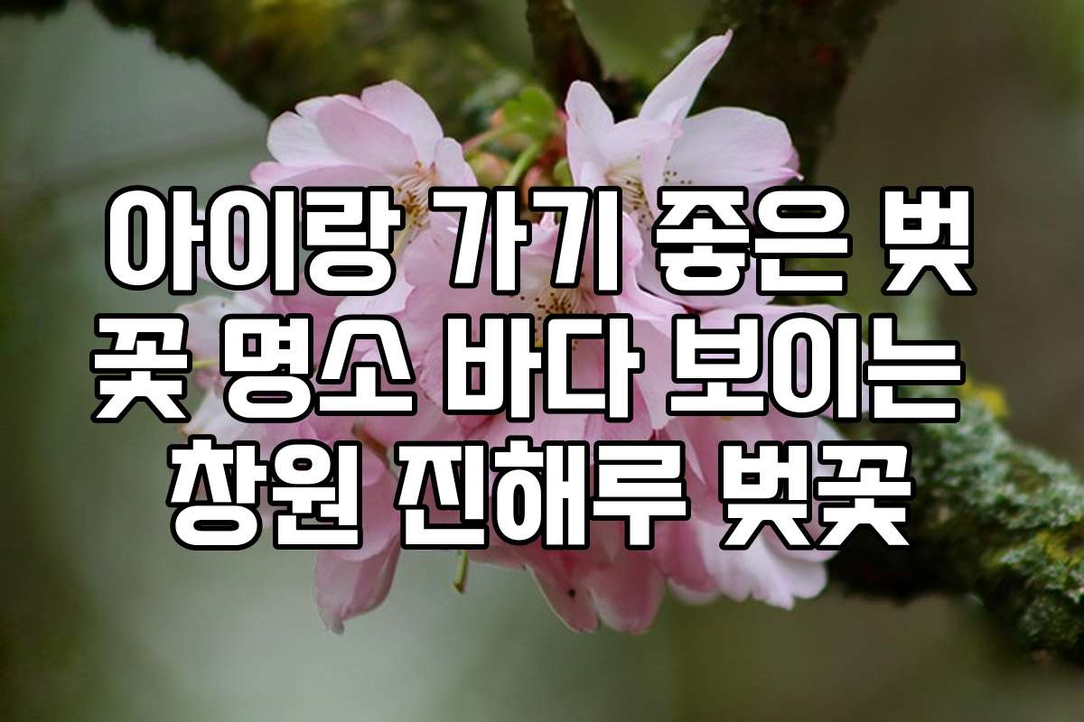 아이랑 가기 좋은 벚꽃 명소 바다 보이는 창원 진해루 벚꽃