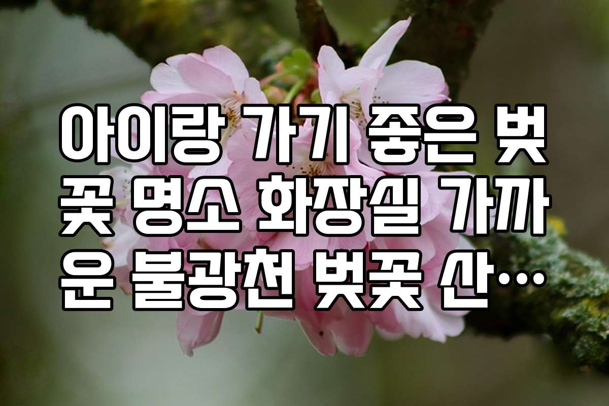 아이랑 가기 좋은 벚꽃 명소 화장실 가까운 불광천 벚꽃 산책로