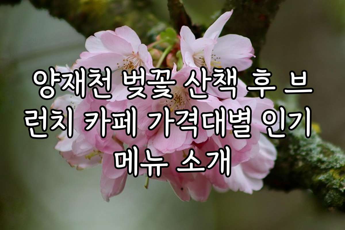 양재천 벚꽃 산책 후 브런치 카페 가격대별 인기 메뉴 소개