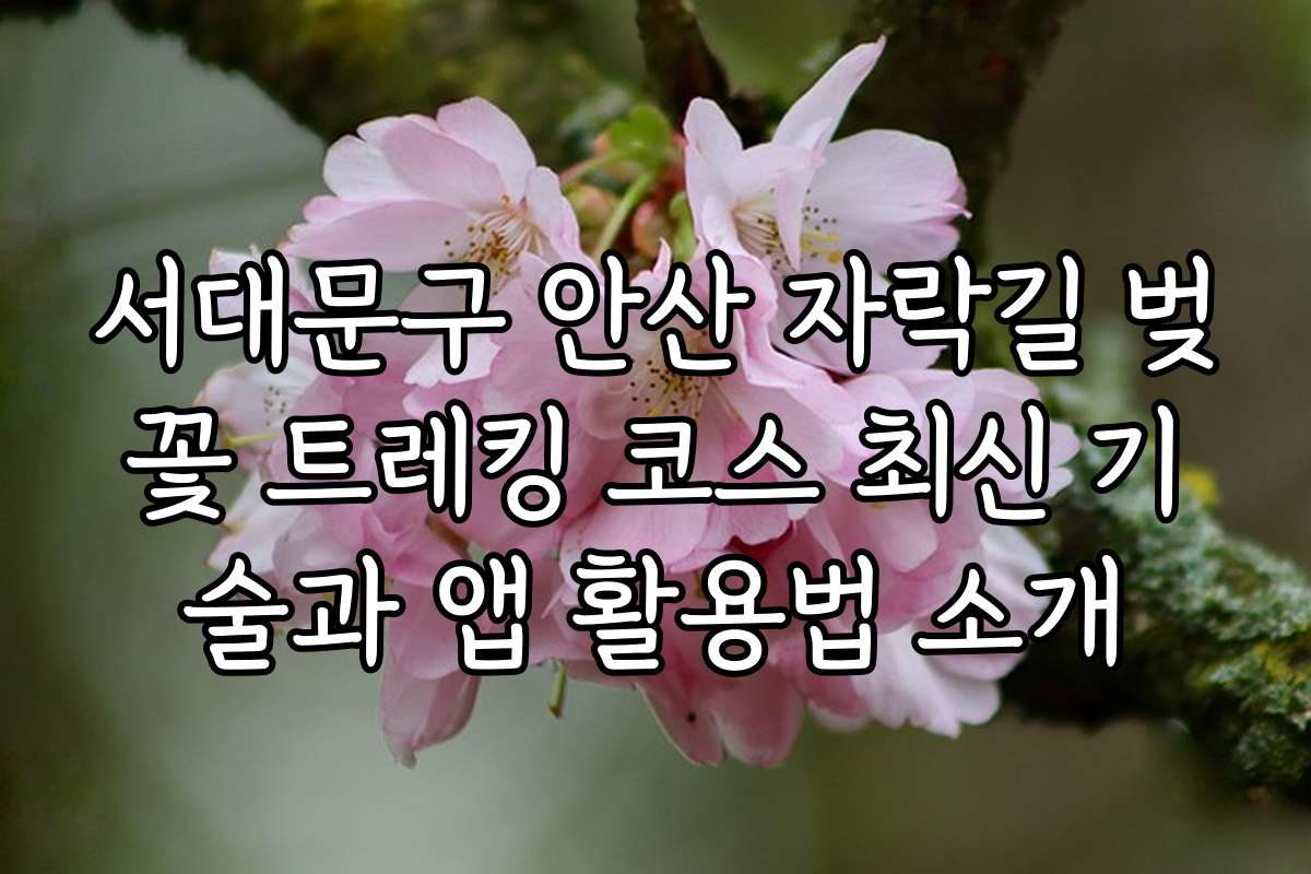 서대문구 안산 자락길 벚꽃 트레킹 코스 최신 기술과 앱 활용법 소개