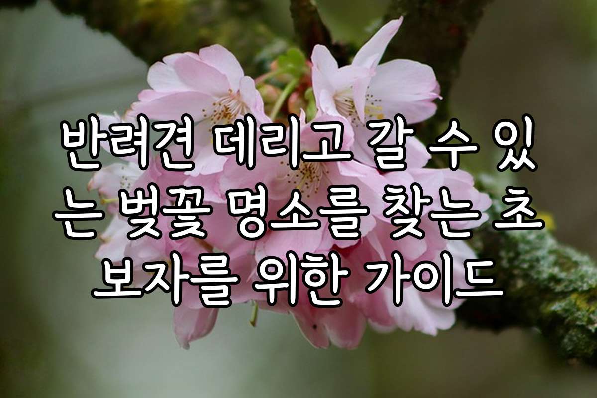 반려견 데리고 갈 수 있는 벚꽃 명소를 찾는 초보자를 위한 가이드