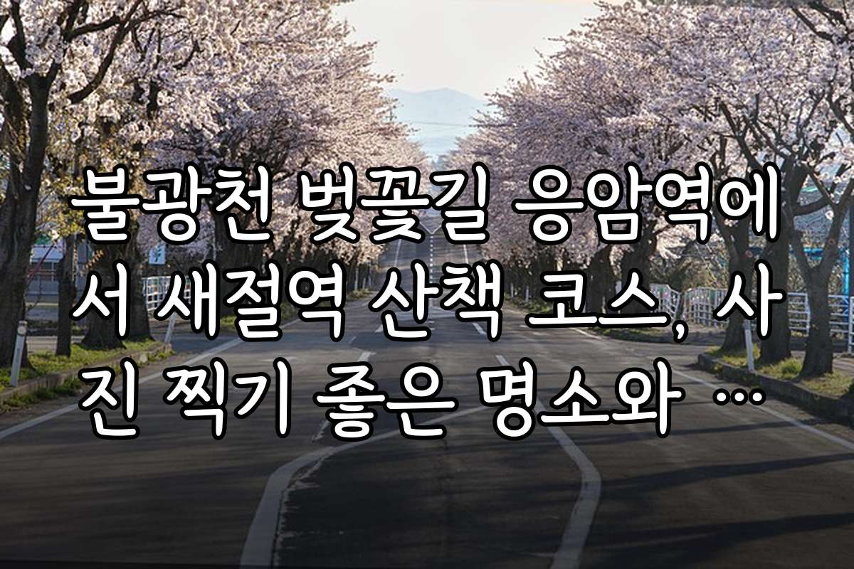 불광천 벚꽃길 응암역에서 새절역 산책 코스, 사진 찍기 좋은 명소와 포인트 정리