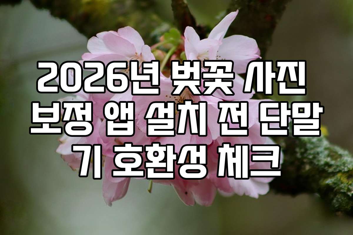 2026년 벚꽃 사진 보정 앱 설치 전 단말기 호환성 체크
