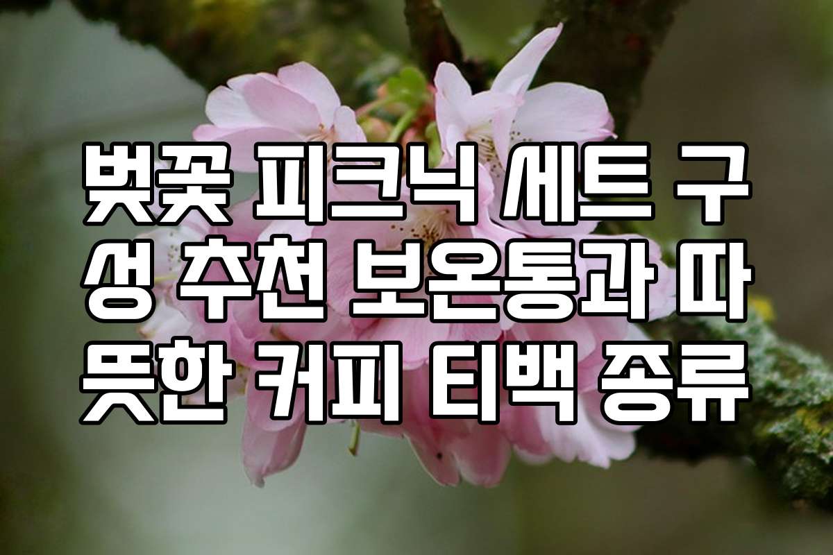 벚꽃 피크닉 세트 구성 추천 보온통과 따뜻한 커피 티백 종류